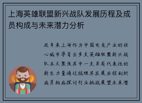 上海英雄联盟新兴战队发展历程及成员构成与未来潜力分析