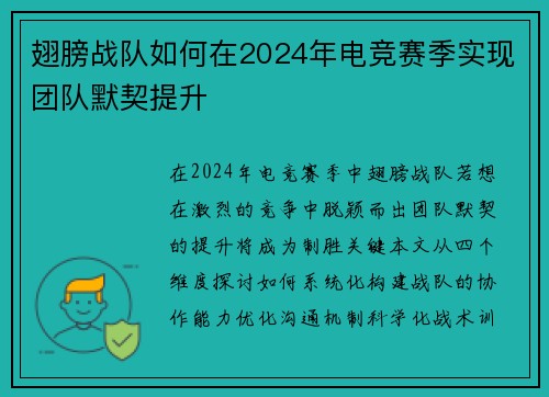 翅膀战队如何在2024年电竞赛季实现团队默契提升